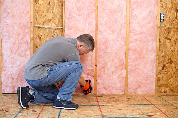 Best Insulation Installation Services in Stone Park, IL