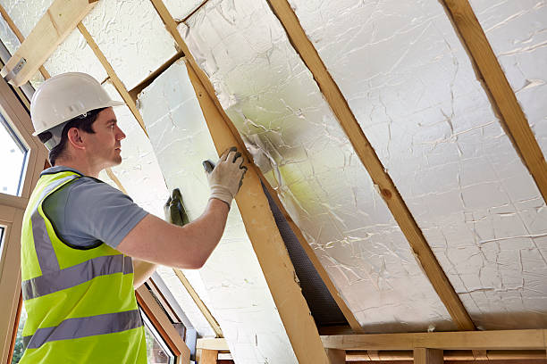 Best Energy Efficiency Solutions in Stone Park, IL